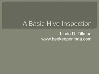 A Basic Hive Inspection Linda D. Tillman www.beekeeperlinda.com 