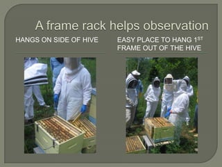 A frame rack helps observation,[object Object],Hangs on side of hive,[object Object],Easy place to hang 1st frame out of the hive,[object Object]