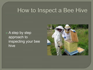 How to Inspect a Bee Hive<br />A step by step approach to inspecting your bee hive<br />
