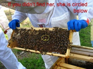 If you didn’t find her, she is circled below<br />