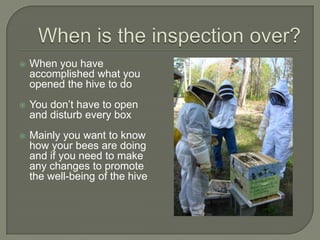 When is the inspection over?,[object Object],When you have accomplished what you opened the hive to do,[object Object],You don’t have to open and disturb every box,[object Object],Mainly you want to know how your bees are doing and if you need to make any changes to promote the well-being of the hive,[object Object]