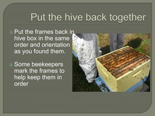 Put the hive back together<br />Put the frames back in hive box in the same order and orientation as you found them.<br />...