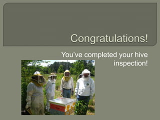 Congratulations!<br />You’ve completed your hive inspection!<br />