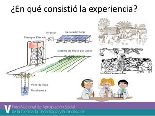 ¿En qué consistió la experiencia? 
 