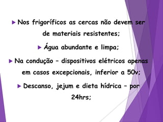  Nos frigoríficos as cercas não devem ser
de materiais resistentes;
 Água abundante e limpa;
 Na condução – dispositivos elétricos apenas
em casos excepcionais, inferior a 50v;
 Descanso, jejum e dieta hídrica – por
24hrs;
 