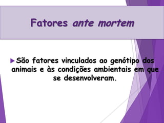 Fatores ante mortem
 São fatores vinculados ao genótipo dos
animais e às condições ambientais em que
se desenvolveram.
 