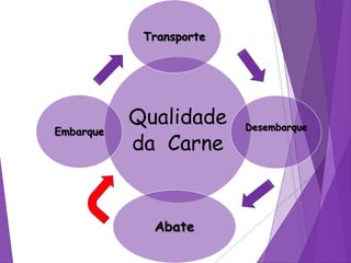 Qualidade
da Carne
Transporte
Desembarque
Abate
Embarque
 