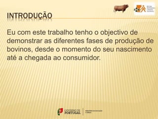 INTRODUÇÃO
Eu com este trabalho tenho o objectivo de
demonstrar as diferentes fases de produção de
bovinos, desde o momento do seu nascimento
até a chegada ao consumidor.
 