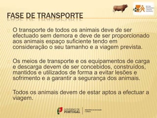 FASE DE TRANSPORTE
O transporte de todos os animais deve de ser
efectuado sem demora e deve de ser proporcionado
aos animais espaço suficiente tendo em
consideração o seu tamanho e a viagem prevista.
Os meios de transporte e os equipamentos de carga
e descarga devem de ser concebidos, construídos,
mantidos e utilizados de forma a evitar lesões e
sofrimento e a garantir a segurança dos animais.
Todos os animais devem de estar aptos a efectuar a
viagem.
 