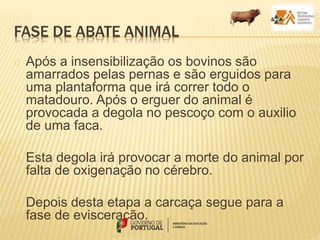 FASE DE ABATE ANIMAL
Após a insensibilização os bovinos são
amarrados pelas pernas e são erguidos para
uma plantaforma que irá correr todo o
matadouro. Após o erguer do animal é
provocada a degola no pescoço com o auxilio
de uma faca.
Esta degola irá provocar a morte do animal por
falta de oxigenação no cérebro.
Depois desta etapa a carcaça segue para a
fase de evisceração.
 