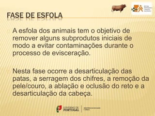 FASE DE ESFOLA
A esfola dos animais tem o objetivo de
remover alguns subprodutos iniciais de
modo a evitar contaminações durante o
processo de evisceração.
Nesta fase ocorre a desarticulação das
patas, a serragem dos chifres, a remoção da
pele/couro, a ablação e oclusão do reto e a
desarticulação da cabeça.
 