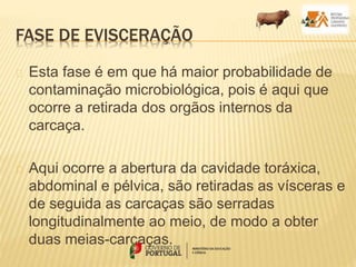 FASE DE EVISCERAÇÃO
Esta fase é em que há maior probabilidade de
contaminação microbiológica, pois é aqui que
ocorre a retirada dos orgãos internos da
carcaça.
Aqui ocorre a abertura da cavidade toráxica,
abdominal e pélvica, são retiradas as vísceras e
de seguida as carcaças são serradas
longitudinalmente ao meio, de modo a obter
duas meias-carcaças.
 