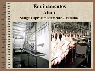 Equipamentos
Abate
Sangria aproximadamente 2 minutos.
 