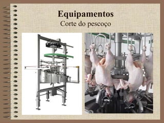 Equipamentos
Corte do pescoço
 