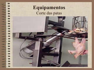 Equipamentos
Corte das patas
 