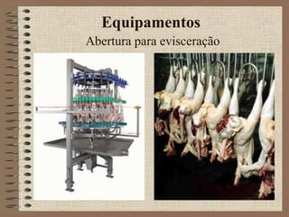 Equipamentos
Abertura para evisceração
 