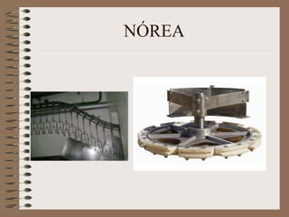 NÓREA
 