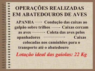 OPERAÇÕES REALIZADAS
EM ABATEDOUROS DE AVES
APANHA Condução das caixas ao
galpão sobre trilhos Caixas cercam
as aves Coleta das aves pelos
apanhadores Caixas
colocadas nos caminhões para o
transporte até o abatedouro
Lotação ideal das gaiolas: 22 Kg
 