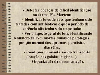 - Detectar doenças de difícil identificação
no exame Pós-Mortem;
- Identificar lotes de aves que tenham sido
tratadas com antibióticos e que o período de
carência não tenha sido respeitado;
- Ver o aspecto geral do lote, identificando
o número de aves mortas, sinais de patologias,
posição normal dos aprumos, paralisias,
diarréias;
- Condições humanitárias do transporte
(lotação das gaiolas, higiene...);
- Organização da documentação.
 