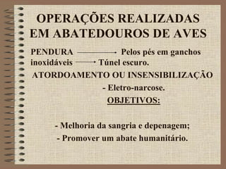 OPERAÇÕES REALIZADAS
EM ABATEDOUROS DE AVES
PENDURA Pelos pés em ganchos
inoxidáveis Túnel escuro.
ATORDOAMENTO OU INSENSIBILIZAÇÃO
- Eletro-narcose.
OBJETIVOS:
- Melhoria da sangria e depenagem;
- Promover um abate humanitário.
 