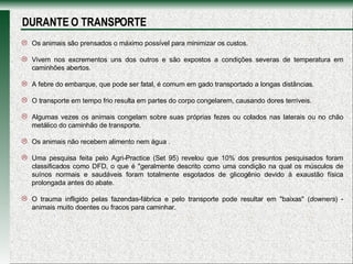 Os animais são prensados o máximo possível para minimizar os custos.   Vivem nos excrementos uns dos outros e são expostos a condições severas de temperatura em caminhões abertos.   A febre do embarque, que pode ser fatal, é comum em gado transportado a longas distâncias. O transporte em tempo frio resulta em partes do corpo congelarem, causando dores terríveis.  Algumas vezes os animais congelam sobre suas próprias fezes ou colados nas laterais ou no chão metálico do caminhão de transporte.  Os animais não recebem alimento nem água . Uma pesquisa feita pelo Agri-Practice (Set 95) revelou que 10% dos presuntos pesquisados foram classificados como DFD, o que é "geralmente descrito como uma condição na qual os músculos de suínos normais e saudáveis foram totalmente esgotados de glicogênio devido à exaustão física prolongada antes do abate.  O trauma infligido pelas fazendas-fábrica e pelo transporte pode resultar em "baixas" ( downers ) - animais muito doentes ou fracos para caminhar.  DURANTE O TRANSPORTE 