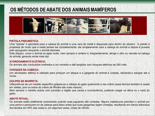 PISTOLA PNEUMÁTICA: Uma "pistola" é apontada para a cabeça do animal e uma vara de metal é disparada para dentro do cérebro.  A pistola é projetada de modo que a haste jamais sai completamente, ela simplesmente vara a cabeça do animal e depois é puxada pelo açougueiro enquanto o animal desmaia.  Este disparo, como o animal se agita muito, nem sempre é certeiro e, freqüentemente, atinge o olho ou resvala na cabeça do animal, gerando ainda mais dor.  ATORDOAMENTO ELÉTRICO: Os animais são conduzidos molhados a um corredor e dali tangidos com choques elétricos de 240 volts.  CHOQUES NA CABEÇA:   Um atordoador elétrico é utilizado para produzir um ataque e a garganta do animal é cortada, deixando-o sangrar até a morte.   GOLPES DE MARRETA: Utilizando-se de um martelo específico golpeia-se a cabeça do gado quebrando o seu crânio (essa técnica também é usada em vitelas, pois os ossos do crânio de filhotes são mais macios).  Nem sempre o martelo acerta com precisão a região que causa a inconsciência, podendo rasgar os olhos ou o nariz do gado.  ABATE RITUAL:   Os animais estão totalmente conscientes quando suas jugulares são cortadas. Alguns matadouros prendem o animal por uma perna e penduram-no de cabeça para baixo antes que suas gargantas sejam cortadas, resultando em danos dolorosos dos tecidos em 50% das vezes e, em algumas vezes, crises de vômito.  OS MÉTODOS DE ABATE DOS ANIMAIS MAMÍFEROS 