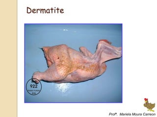 Dermatite
Profª. Mariela Moura Carreon
 