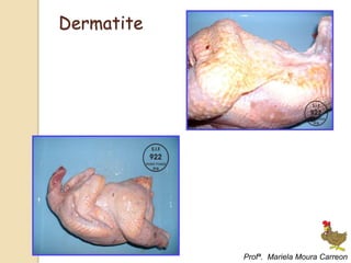 Dermatite
Profª. Mariela Moura Carreon
 