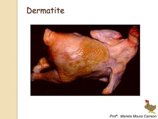 Dermatite
Profª. Mariela Moura Carreon
 
