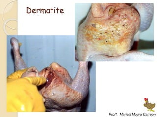 Dermatite
Profª. Mariela Moura Carreon
 