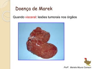 Doença de Marek
Quando visceral: lesões tumorais nos órgãos
Profª. Mariela Moura Carreon
 