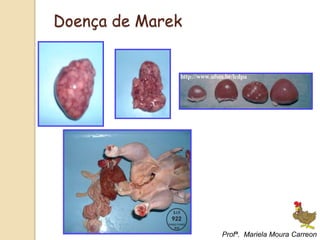 Doença de Marek
Profª. Mariela Moura Carreon
 