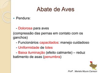 Abate de Aves
 Pendura:
- Dolorosa para aves
(compressão das pernas em contato com os
ganchos)
- Funcionários capacitados: manejo cuidadoso
- Uniformidade de lotes
- Baixa iluminação (efeito calmante) – reduz
batimento de asas (penumbra)
Profª. Mariela Moura Carreon
 