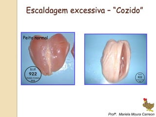 Peito normal
Escaldagem excessiva – “Cozido”
Profª. Mariela Moura Carreon
 