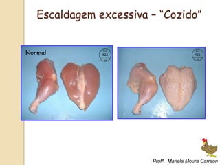 Normal
Escaldagem excessiva – “Cozido”
Profª. Mariela Moura Carreon
 