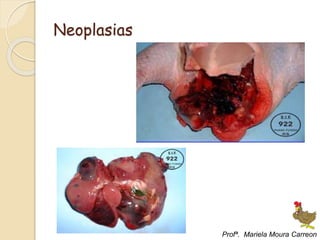 Neoplasias
Profª. Mariela Moura Carreon
 