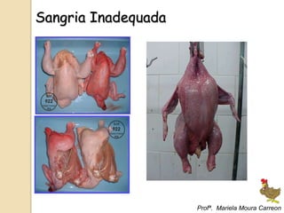 Sangria Inadequada
Profª. Mariela Moura Carreon
 