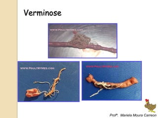 Verminose
Profª. Mariela Moura Carreon
 