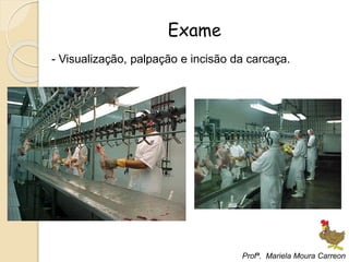 Exame
- Visualização, palpação e incisão da carcaça.
Profª. Mariela Moura Carreon
 