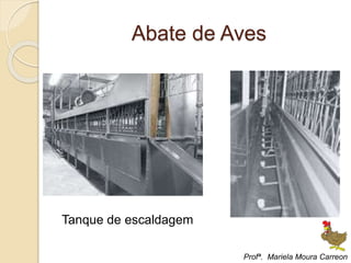 Abate de Aves
Tanque de escaldagem
Profª. Mariela Moura Carreon
 