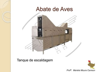 Abate de Aves
Tanque de escaldagem
Profª. Mariela Moura Carreon
 