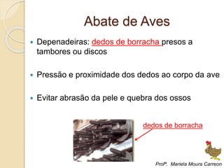 Abate de Aves
 Depenadeiras: dedos de borracha presos a
tambores ou discos
 Pressão e proximidade dos dedos ao corpo da ave
 Evitar abrasão da pele e quebra dos ossos
dedos de borracha
Profª. Mariela Moura Carreon
 