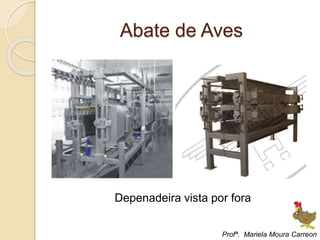 Abate de Aves
Depenadeira vista por fora
Profª. Mariela Moura Carreon
 