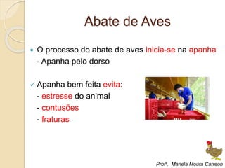 Abate de Aves
 O processo do abate de aves inicia-se na apanha
- Apanha pelo dorso
 Apanha bem feita evita:
- estresse do animal
- contusões
- fraturas
Profª. Mariela Moura Carreon
 
