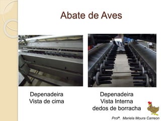 Abate de Aves
Depenadeira
Vista de cima
Depenadeira
Vista Interna
dedos de borracha
Profª. Mariela Moura Carreon
 
