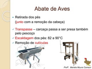 Abate de Aves
 Retirada dos pés
(junto com a remoção da cabeça)
 Transpasse – carcaça passa a ser presa também
pelo pescoço
 Escaldagem dos pés: 82 a 90°C
 Remoção de cutículas
Profª. Mariela Moura Carreon
 