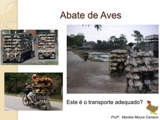 Abate de Aves
Este é o transporte adequado?
Profª. Mariela Moura Carreon
 
