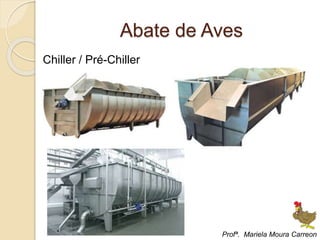 Abate de Aves
Chiller / Pré-Chiller
Profª. Mariela Moura Carreon
 