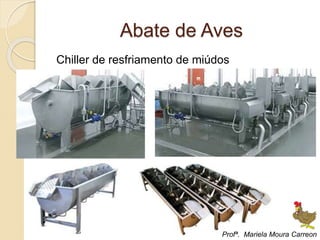 Abate de Aves
Chiller de resfriamento de miúdos
Profª. Mariela Moura Carreon
 