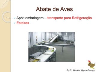 Abate de Aves
 Após embalagem – transporte para Refrigeração
 Esteiras
Profª. Mariela Moura Carreon
 